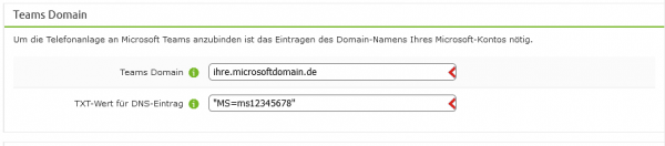 konfigurationshilfen:microsoft:ms-teams_domäne_hinzufügen_-_07_-_txt-wert_eintragen.png